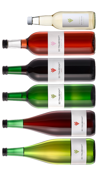 6er Probierset Säfte
