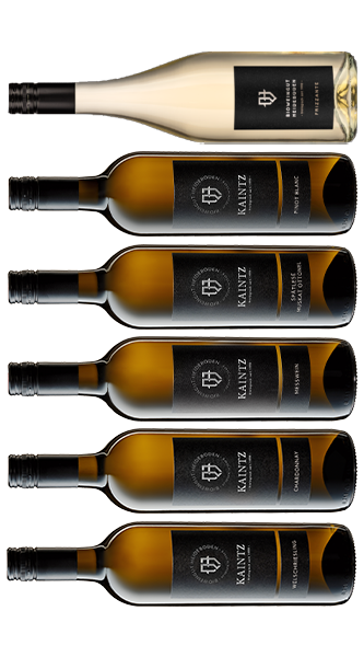 6er Probierset Weiss