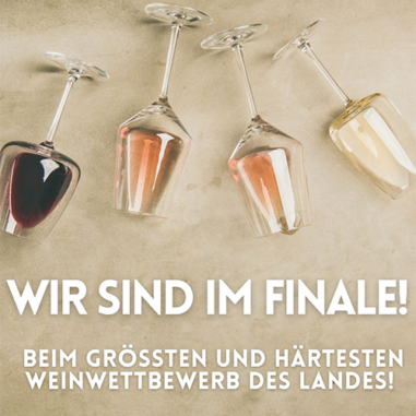 Wir sind im Finale Wir sind im Finale